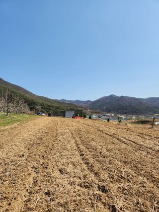 김주해님의 기타작물 · 영농일지 작성글 사진