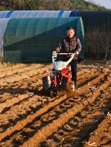 팜모닝 기타작물·영농일지 게시글 이미지