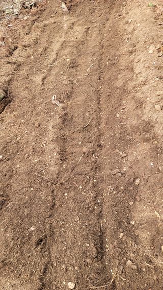 산솔바람님의 기타작물 · 영농일지 작성글 사진