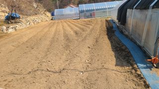 고춘석(고랑과이랑)님의 기타작물 · 영농일지 작성글 사진