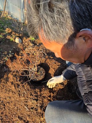 정민지호맘님의 기타작물 · 영농일지 작성글 사진