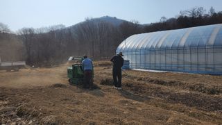 어명순님의 기타작물 · 영농일지 작성글 사진