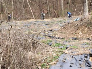 박헌님의 기타작물 · 영농일지 작성글 사진