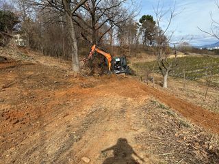 오성균님의 기타작물 · 영농일지 작성글 사진