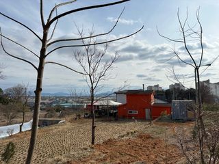 오성균님의 기타작물 · 영농일지 작성글 사진