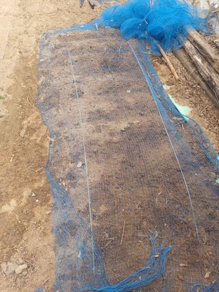 인산님의 기타작물 · 영농일지 작성글 사진