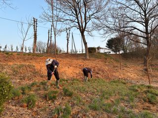 오성균님의 기타작물 · 영농일지 작성글 사진
