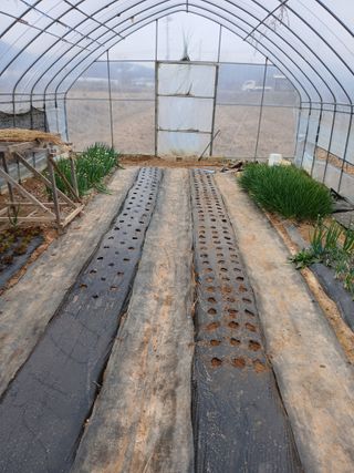 백영호님의 기타작물 · 영농일지 작성글 사진