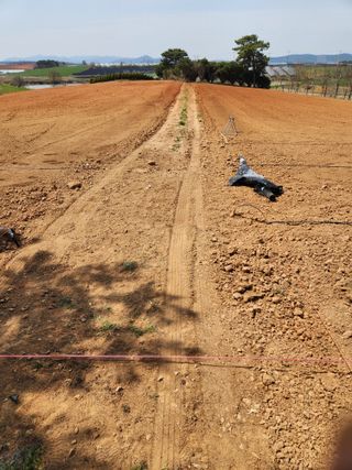 김저팔계님의 기타작물 · 영농일지 작성글 사진
