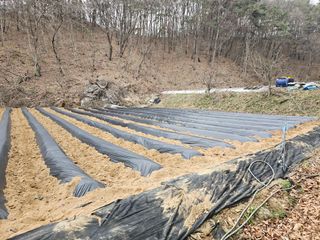 감7768님의 기타작물 · 영농일지 작성글 사진