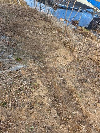 정민지호맘님의 기타작물 · 영농일지 작성글 사진