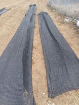 팜모닝 기타작물·영농일지 게시글 이미지