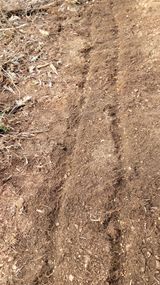 팜모닝 기타작물·영농일지 게시글 이미지