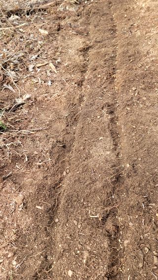 산솔바람님의 기타작물 · 영농일지 작성글 사진