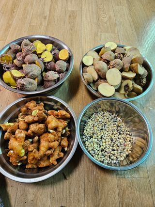 이주연님의 감자 · 영농일지 작성글 사진