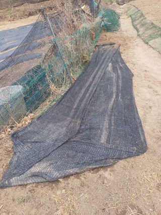 인산님의 기타작물 · 영농일지 작성글 사진