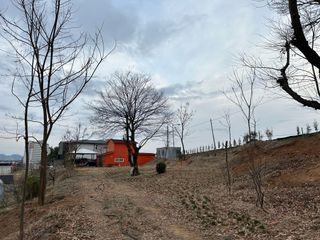 오성균님의 기타작물 · 영농일지 작성글 사진