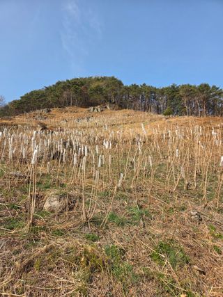 자연농원 윤상수님의 기타작물 · 영농일지 작성글 사진