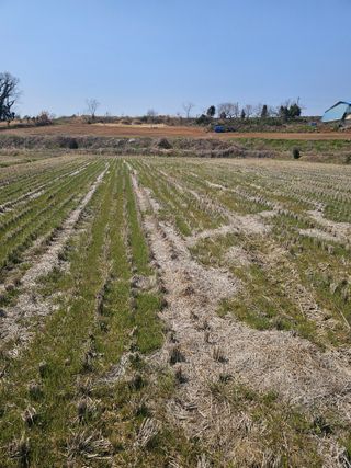 차춘석 님의 기타작물 · 영농일지 작성글 사진