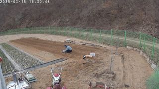 포청천님의 감자 · 영농일지 작성글 사진