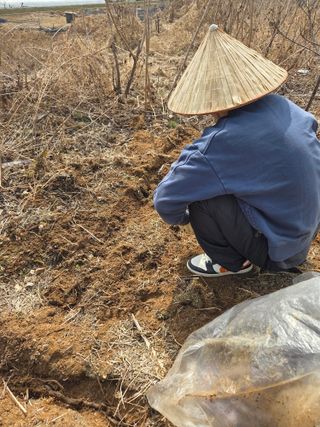 정민지호맘님의 기타작물 · 영농일지 작성글 사진