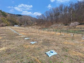 창열님의 기타작물 · 영농일지 작성글 사진