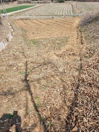 김원준님의 기타작물 · 영농일지 작성글 사진