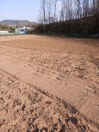 김성구님의 기타작물 · 영농일지 작성글 사진