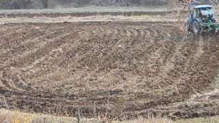 모니카님의 기타작물 · 영농일지 작성글 사진