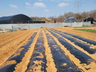 지니효님의 기타작물 · 영농일지 작성글 사진