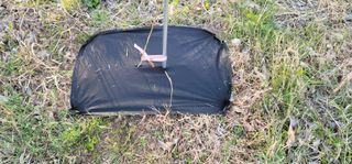 박종화님의 기타작물 · 영농일지 작성글 사진