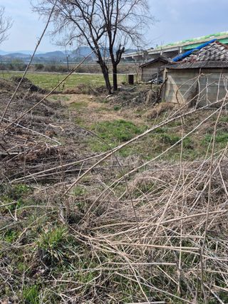 농부님.모두.모두힘님의 기타작물 · 영농일지 작성글 사진