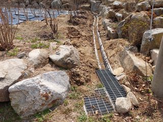 관음손가네님의 기타작물 · 영농일지 작성글 사진