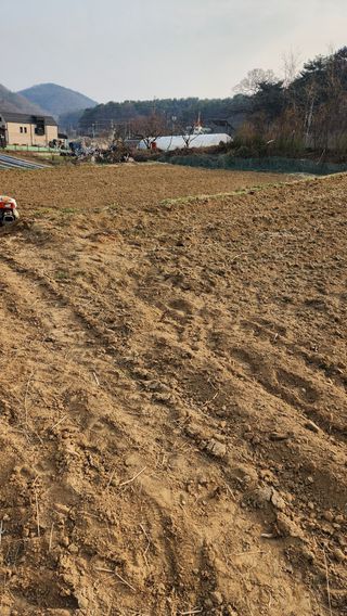 현길01021982님의 기타작물 · 영농일지 작성글 사진