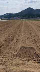 팜모닝 기타작물·영농일지 게시글 이미지