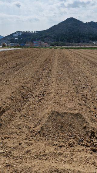 해촌(서정술)50님의 기타작물 · 영농일지 작성글 사진