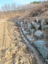 팜모닝 기타작물·영농일지 게시글 이미지