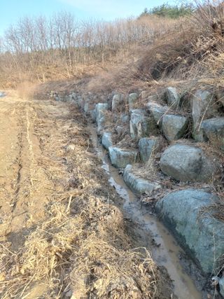 관음손가네님의 기타작물 · 영농일지 작성글 사진