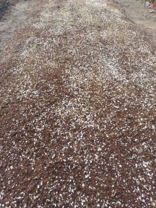 무료지식나눔 팜닥터님의 기타작물 · 영농일지 작성글 사진