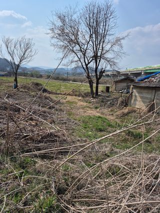 농부님.모두.모두힘님의 기타작물 · 영농일지 작성글 사진
