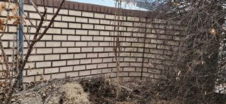 귀농인님의 기타작물 · 영농일지 작성글 사진