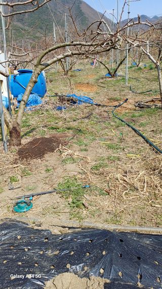 박원용님의 기타작물 · 영농일지 작성글 사진