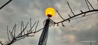 달맛햇복숭아농원님의 복숭아 · 영농일지 작성글 사진