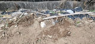 귀농인님의 기타작물 · 영농일지 작성글 사진