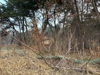 조성보님의 기타작물 · 영농일지 작성글 사진