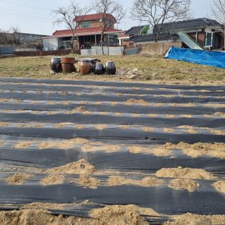 백현호님의 기타작물 · 영농일지 작성글 사진