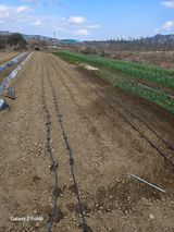 팜모닝 기타작물·영농일지 게시글 이미지