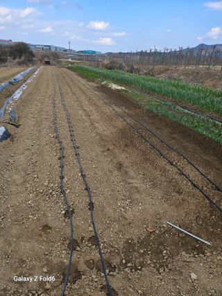 전수노김이곤님의 기타작물 · 영농일지 작성글 사진