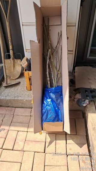 혜공 도봉현님의 기타작물 · 영농일지 작성글 사진