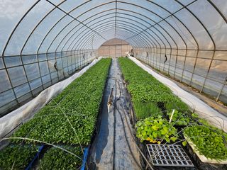 김주희님의 기타작물 · 영농일지 작성글 사진